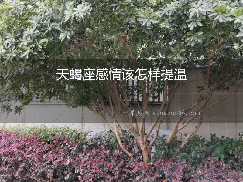 天蝎座感情該怎樣提溫