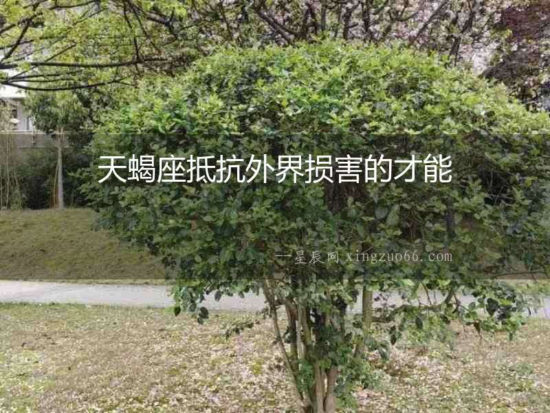 天蝎座抵抗外界損害的才能