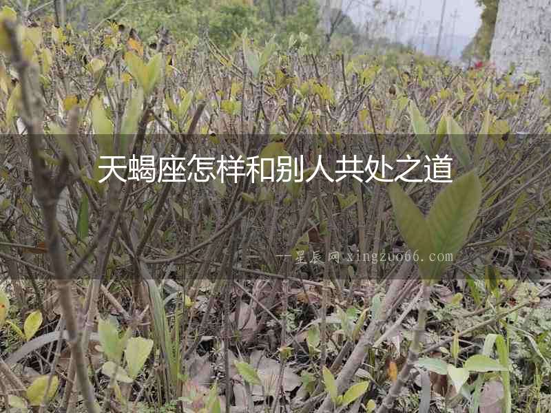 天蝎座怎樣和別人共處之道