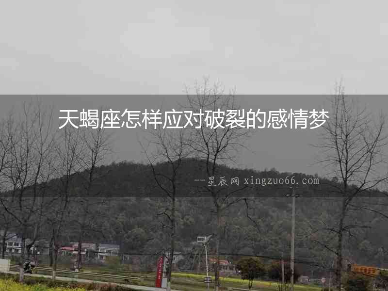 天蝎座怎樣應對破裂的感情夢