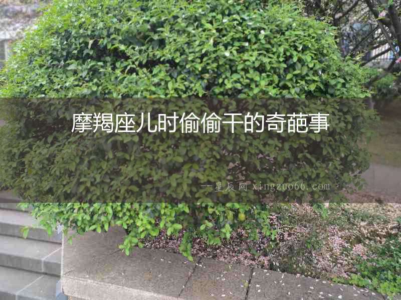 摩羯座兒時偷偷干的奇葩事