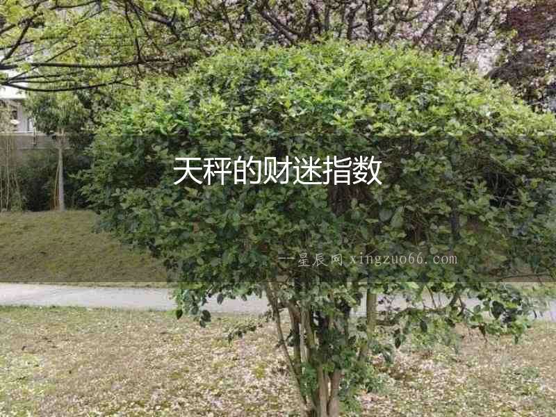 天秤的財迷指數