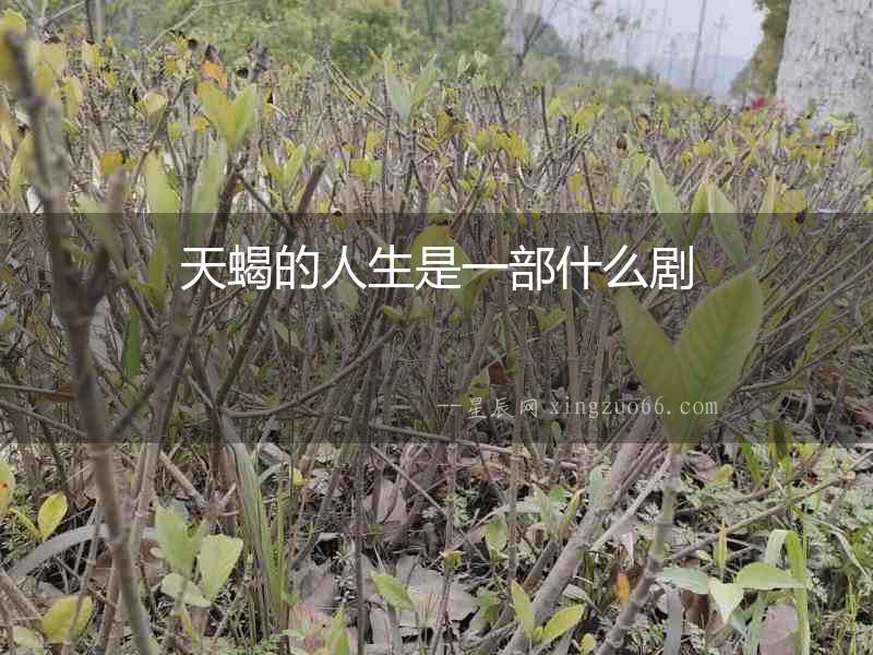 天蝎的人生是一部什么劇