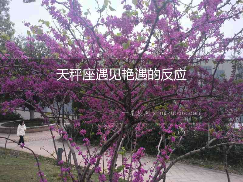 天秤座遇見艷遇的反應