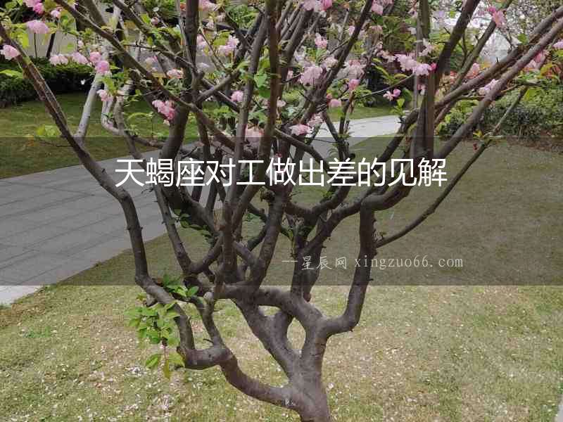 天蝎座對工做出差的見解