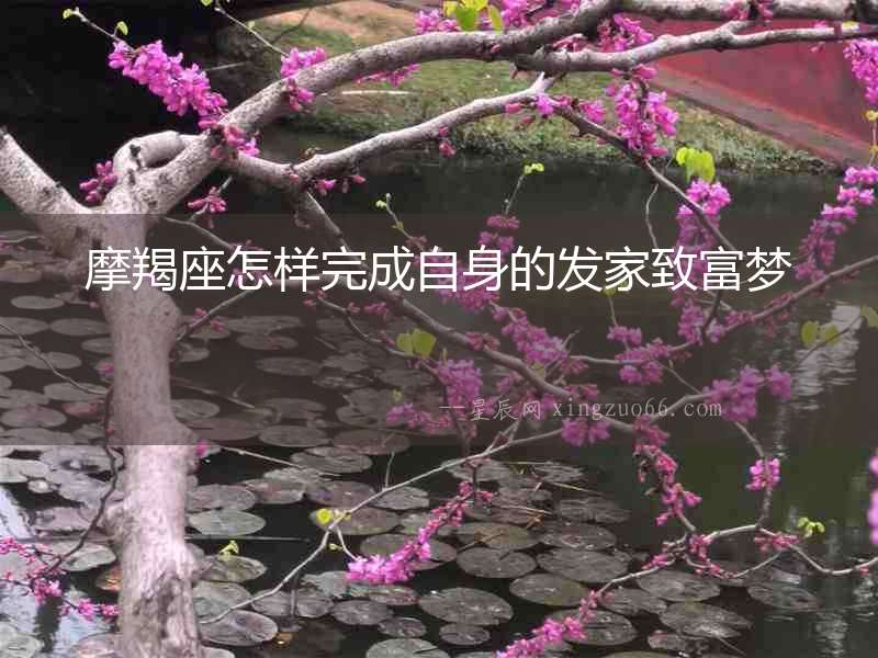 摩羯座怎樣完成自身的發家致富夢
