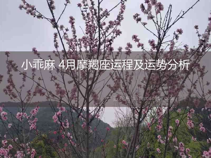 小乖麻 4月摩羯座運(yùn)程及運(yùn)勢(shì)分析