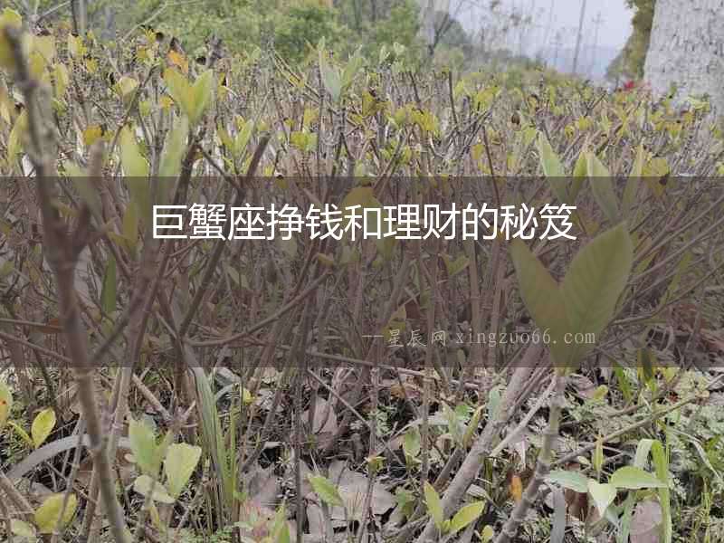 巨蟹座掙錢和理財的秘笈