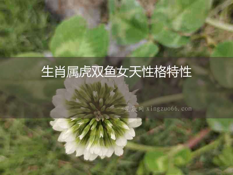 生肖屬虎雙魚女天性格特性