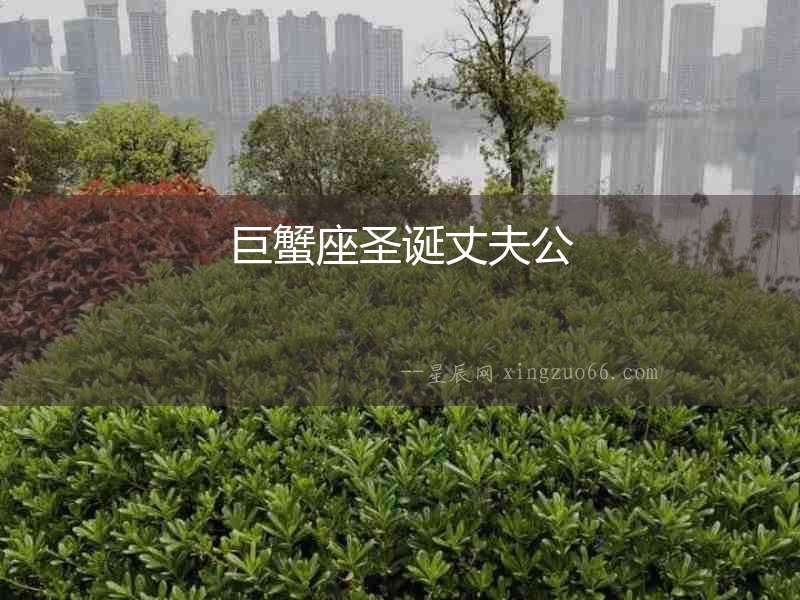 巨蟹座圣誕丈夫公