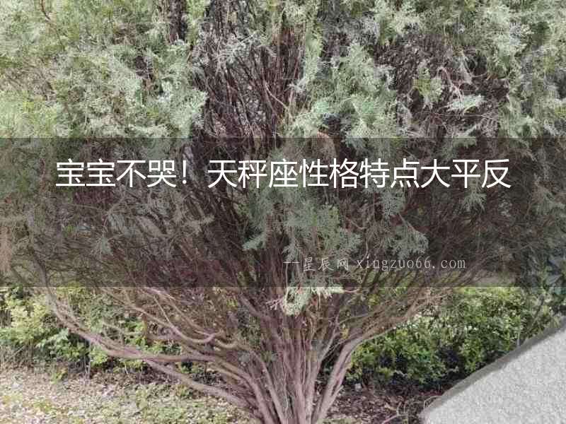 寶寶不哭！天秤座性格特點(diǎn)大平反