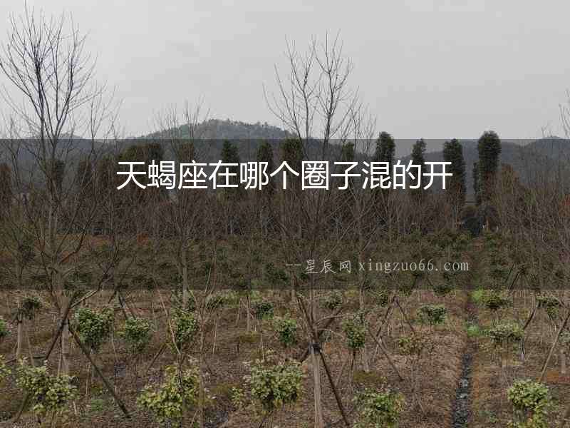 天蝎座在哪個圈子混的開