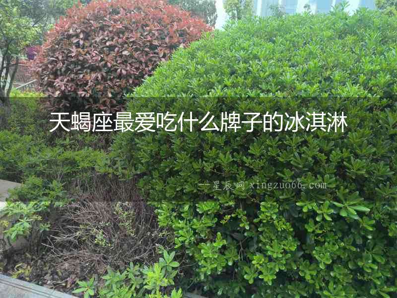 天蝎座最愛吃什么牌子的冰淇淋