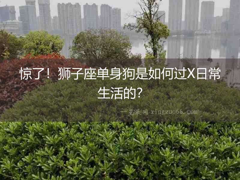 驚了！獅子座單身狗是如何過X日常生活的？