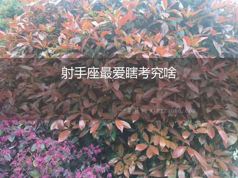 射手座最愛瞎考究啥