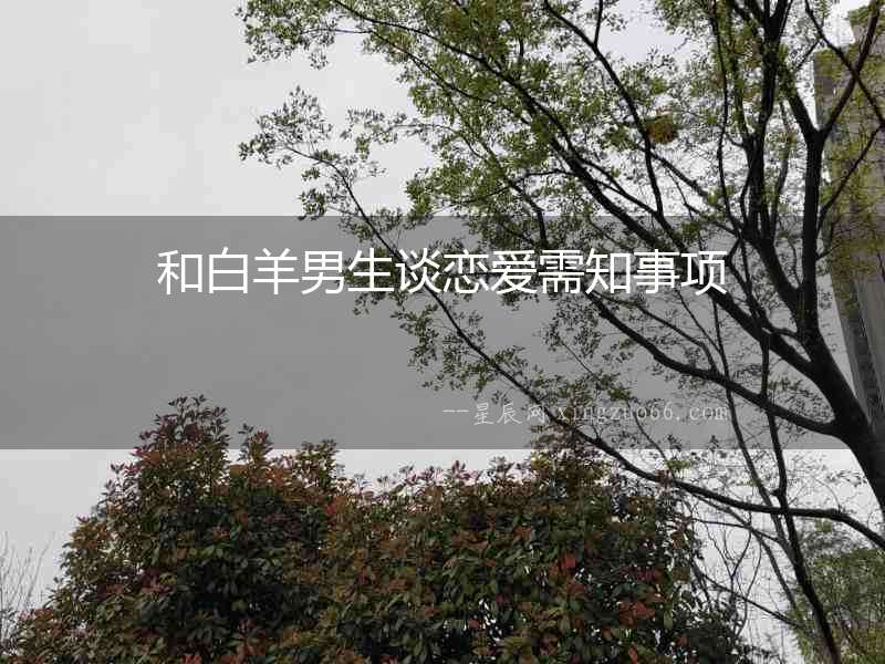 和白羊男生談戀愛需知事項