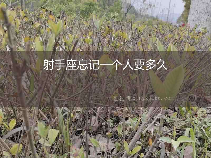射手座忘記一個人要多久
