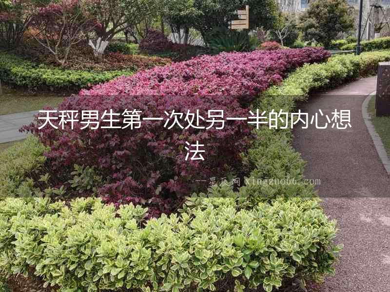 天秤男生第一次處另一半的內心想法