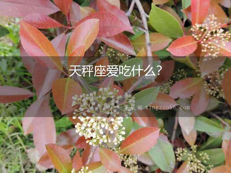 天秤座愛吃什么？