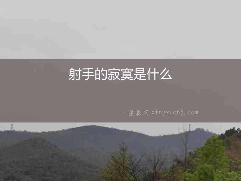 射手的寂寞是什么