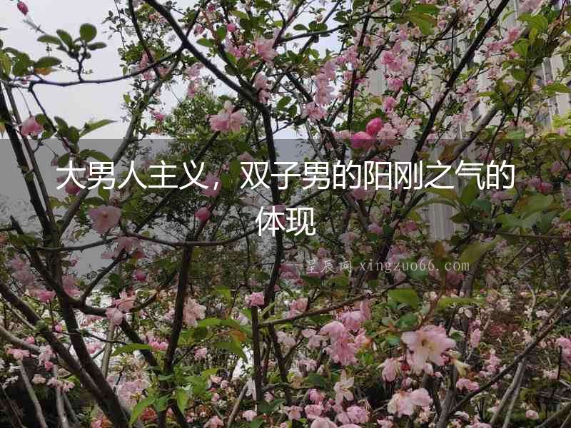 大男人主義，雙子男的陽剛之氣的體現