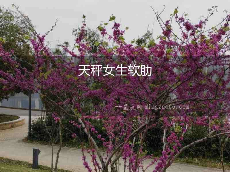 天秤女生軟肋