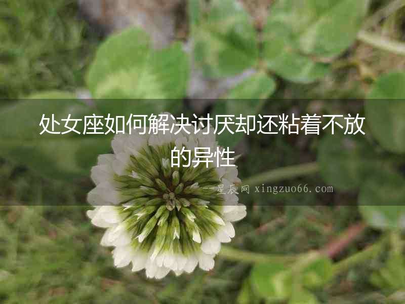 處女座如何解決討厭卻還粘著不放的異性