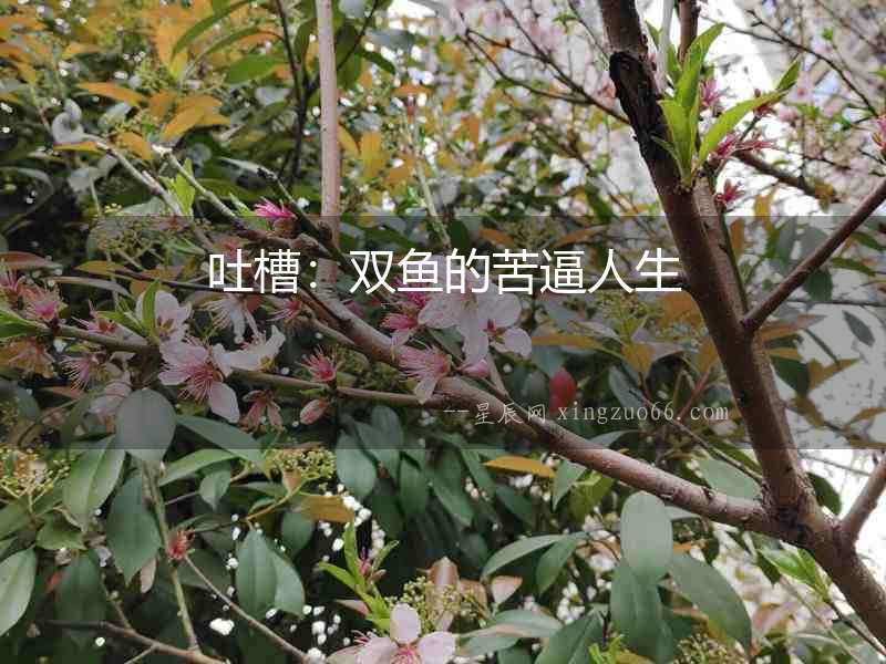 吐槽：雙魚的苦逼人生