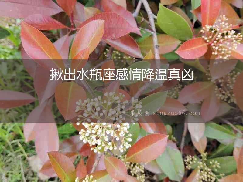 揪出水瓶座感情降溫真兇