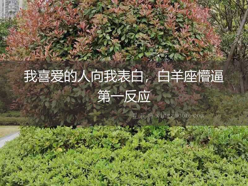 我喜愛的人向我表白，白羊座懵逼第一反應