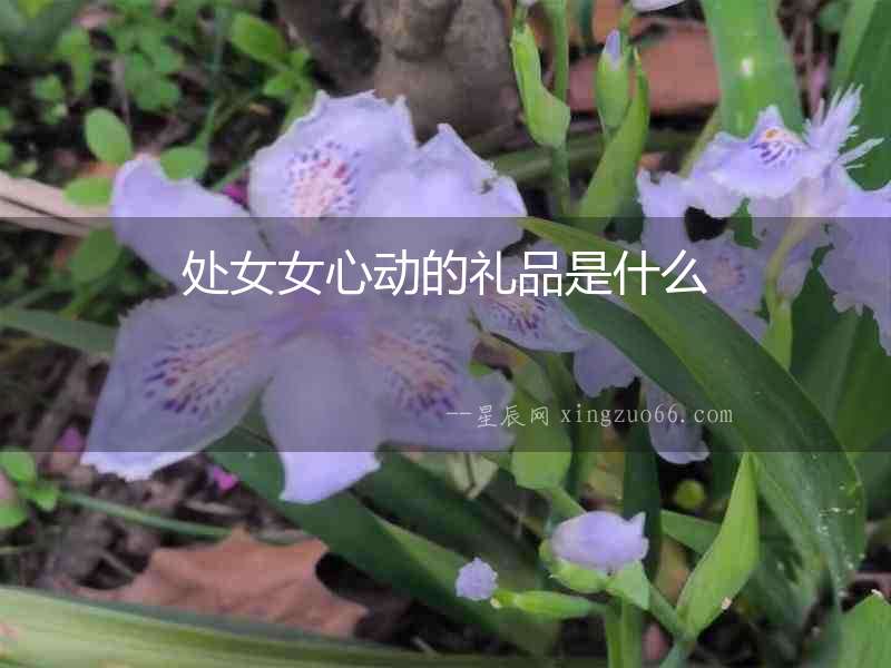 處女女心動的禮品是什么