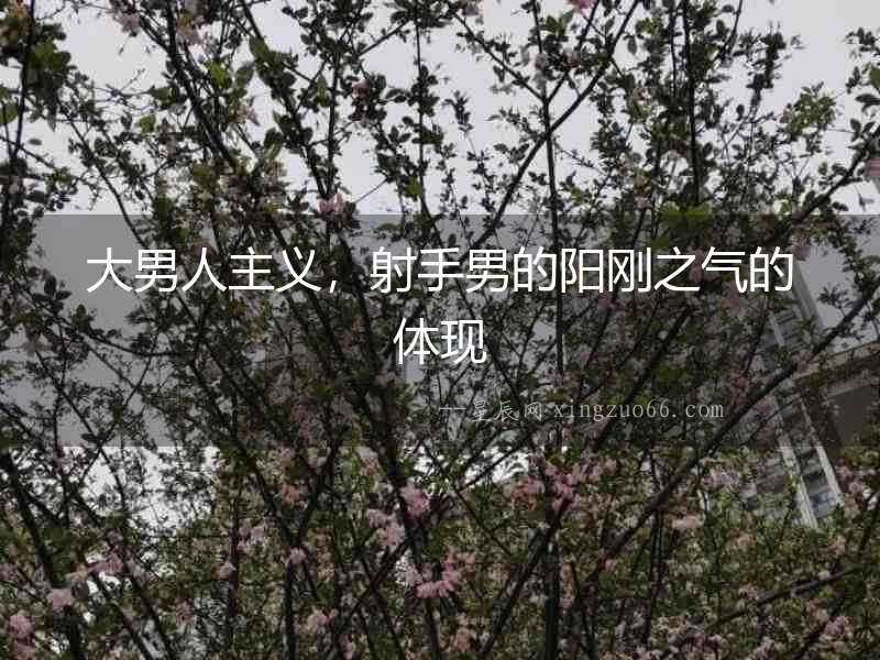 大男人主義，射手男的陽(yáng)剛之氣的體現(xiàn)