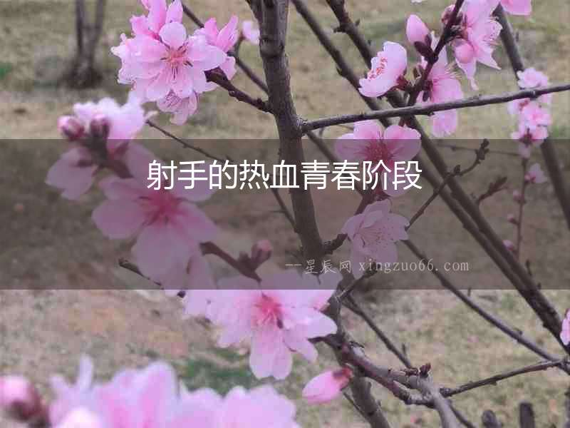 射手的熱血青春階段