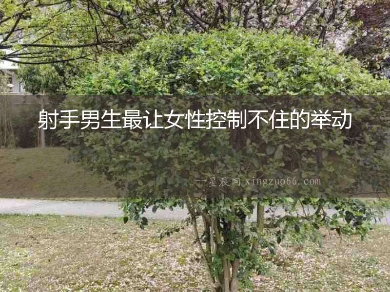 射手男生最讓女性控制不住的舉動