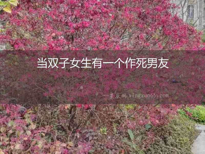 當雙子女生有一個作死男友