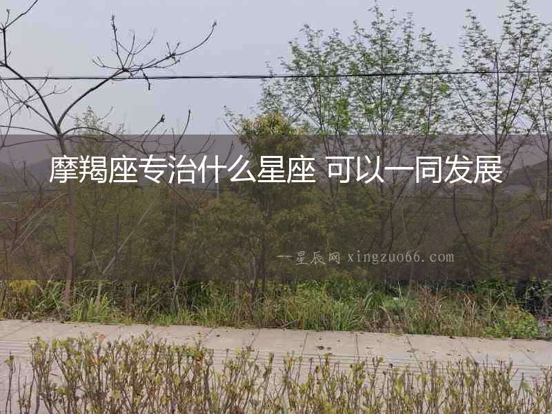 摩羯座專治什么星座 可以一同發展