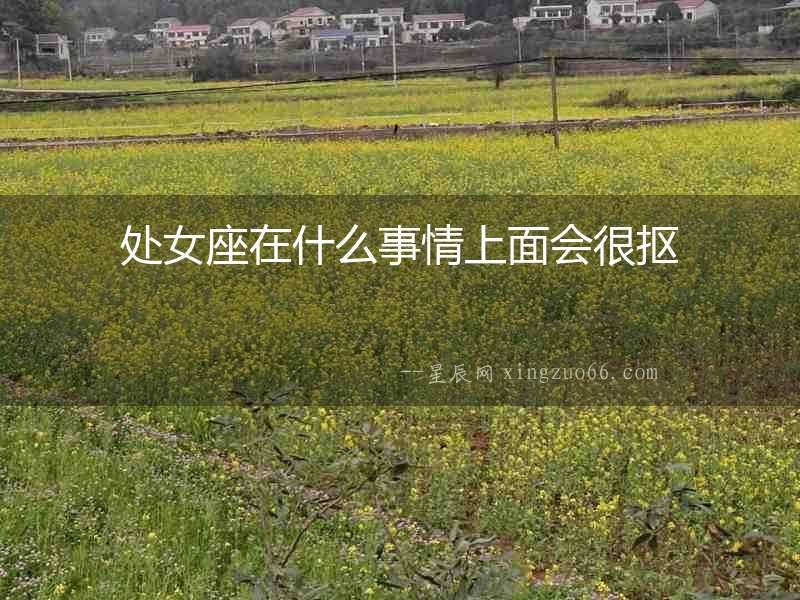 處女座在什么事情上面會很摳