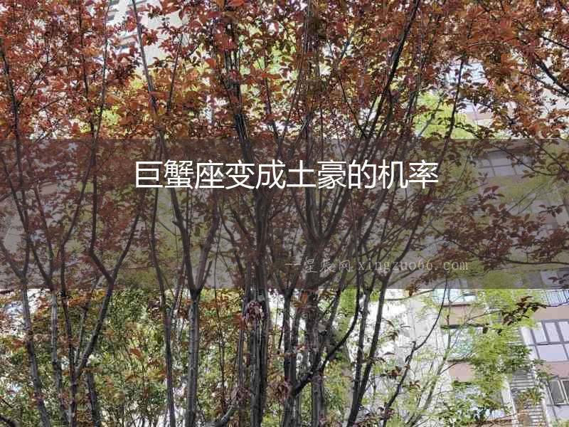 巨蟹座變成土豪的機率
