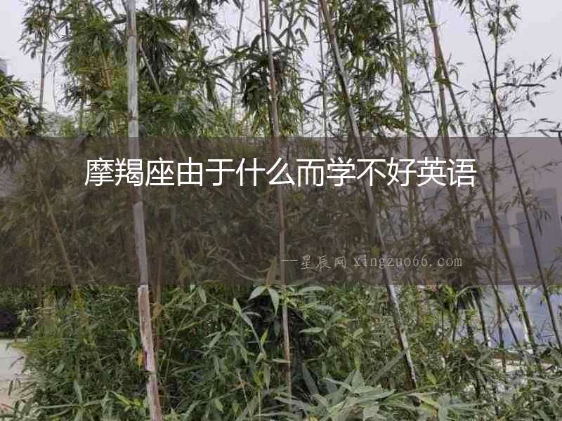 摩羯座由于什么而學不好英語
