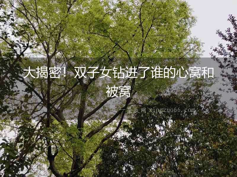 大揭密！雙子女鉆進了誰的心窩和被窩