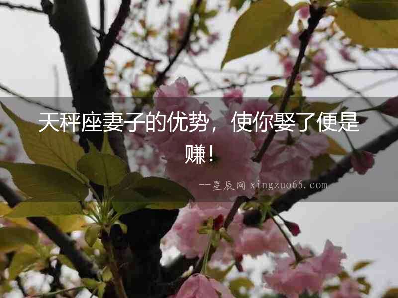天秤座妻子的優勢，使你娶了便是賺！