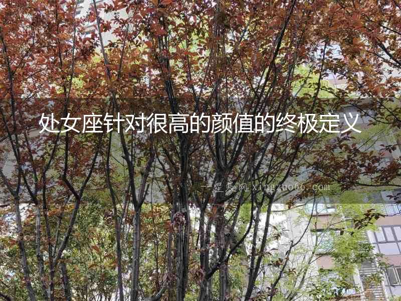 處女座針對很高的顏值的終極定義
