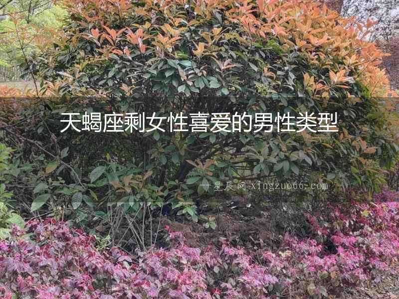 天蝎座剩女性喜愛的男性類型