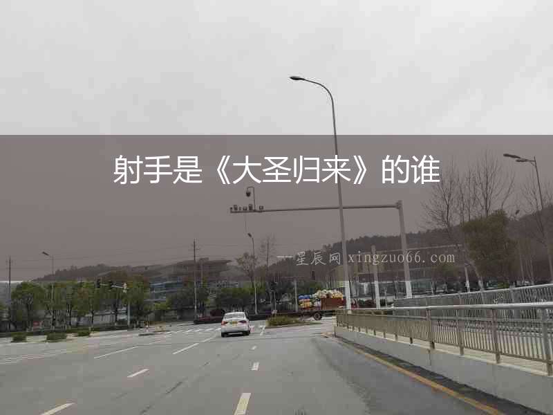 射手是《大圣歸來》的誰