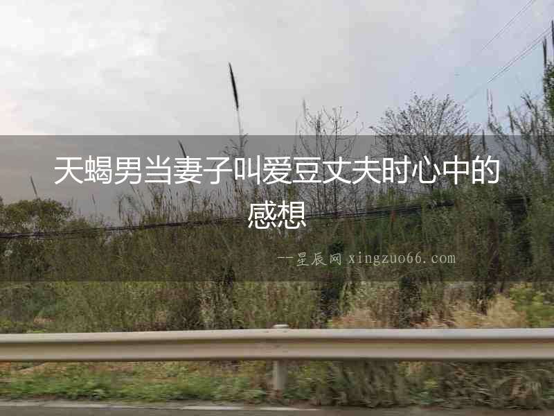 天蝎男當妻子叫愛豆丈夫時心中的感想
