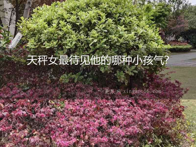 天秤女最待見他的哪種小孩氣？
