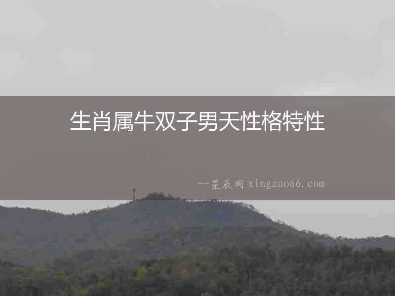 生肖屬牛雙子男天性格特性