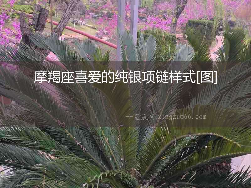 摩羯座喜愛的純銀項鏈樣式[圖]