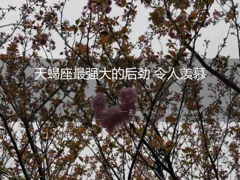 天蝎座最強(qiáng)大的后勁 令人羨慕