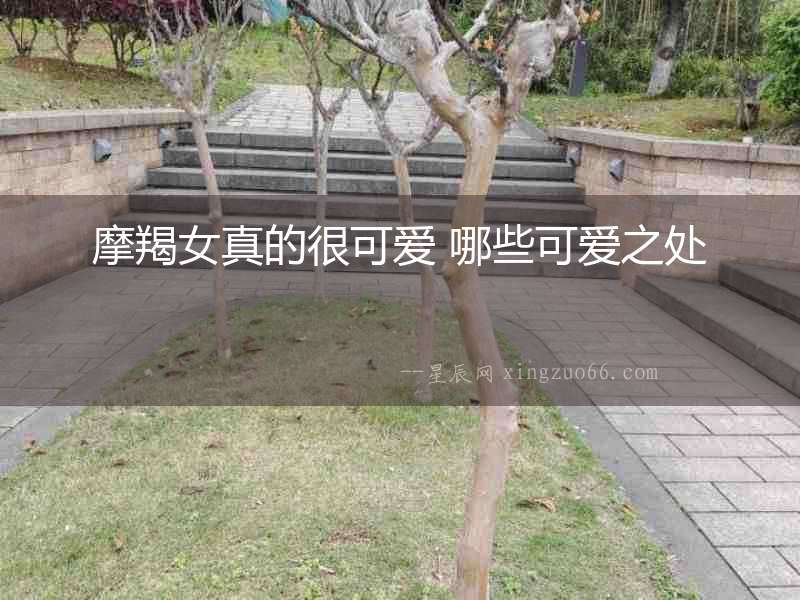 摩羯女真的很可愛 哪些可愛之處
